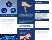 Load image into Gallery viewer, Radial Shockwave Trial - Portland Health Supply
